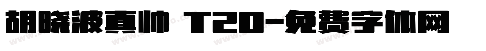 胡晓波真帅 T20字体转换